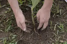 Medio Ambiente agente de cambio